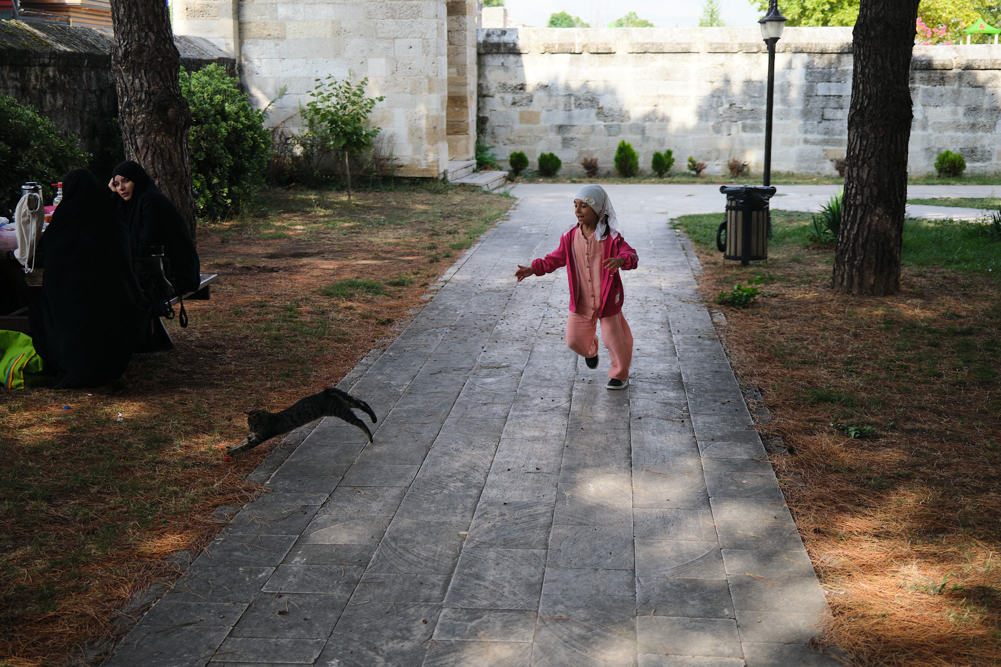 girl playing with cat. edirne, turkey