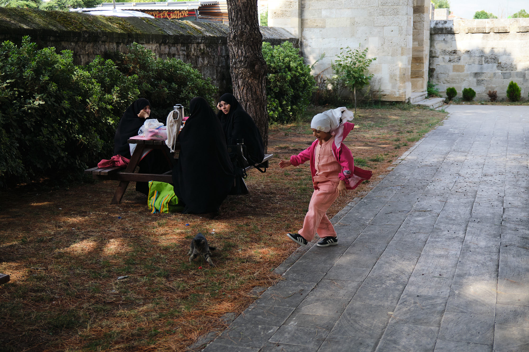 girl playing with cat. edirne, turkey