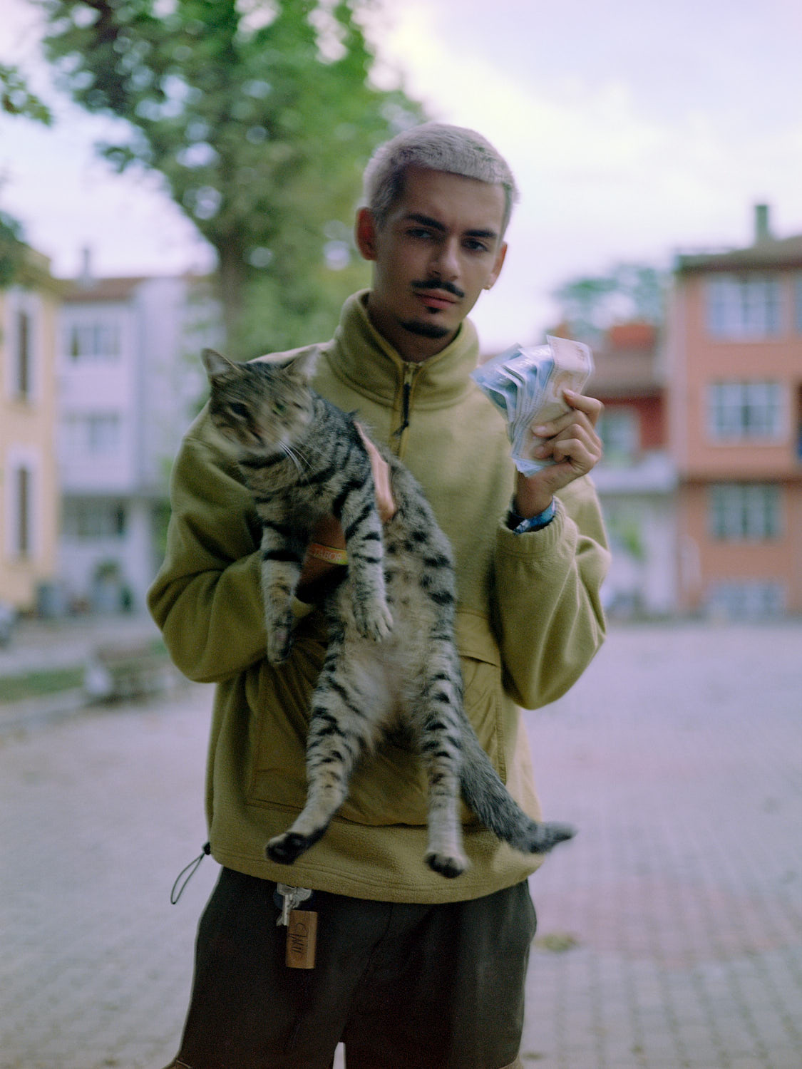 pisti with a street cat and turkish lire