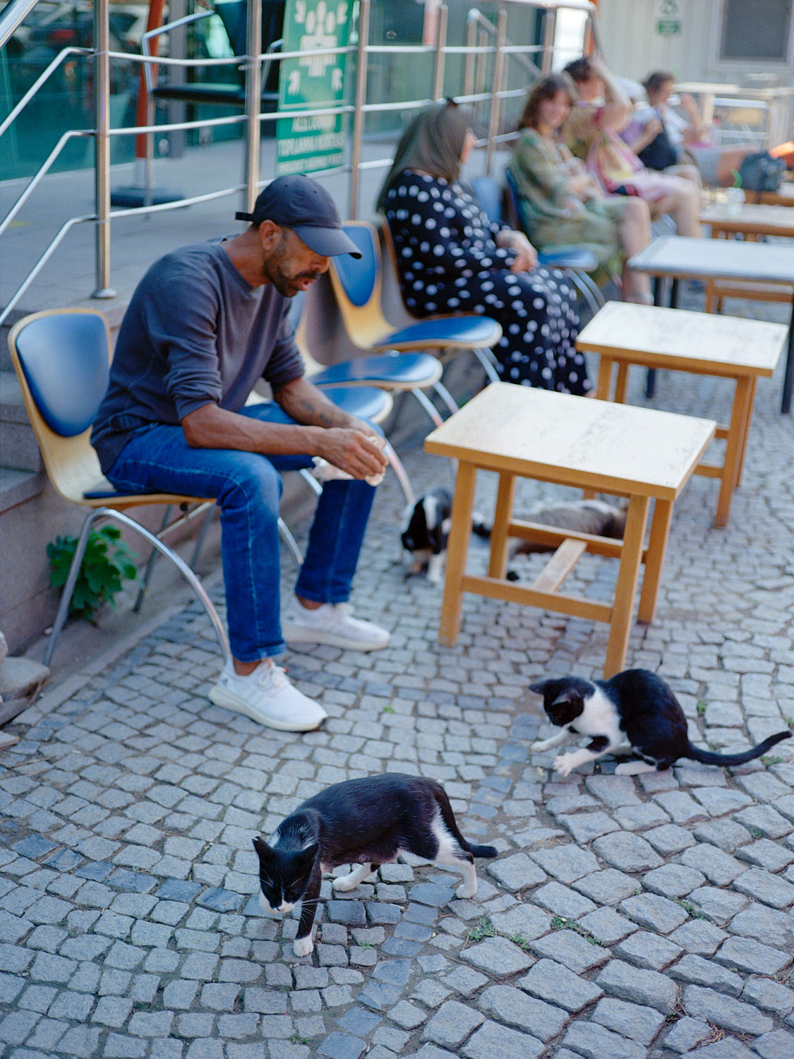 man feeding cats at the pergamon ruins