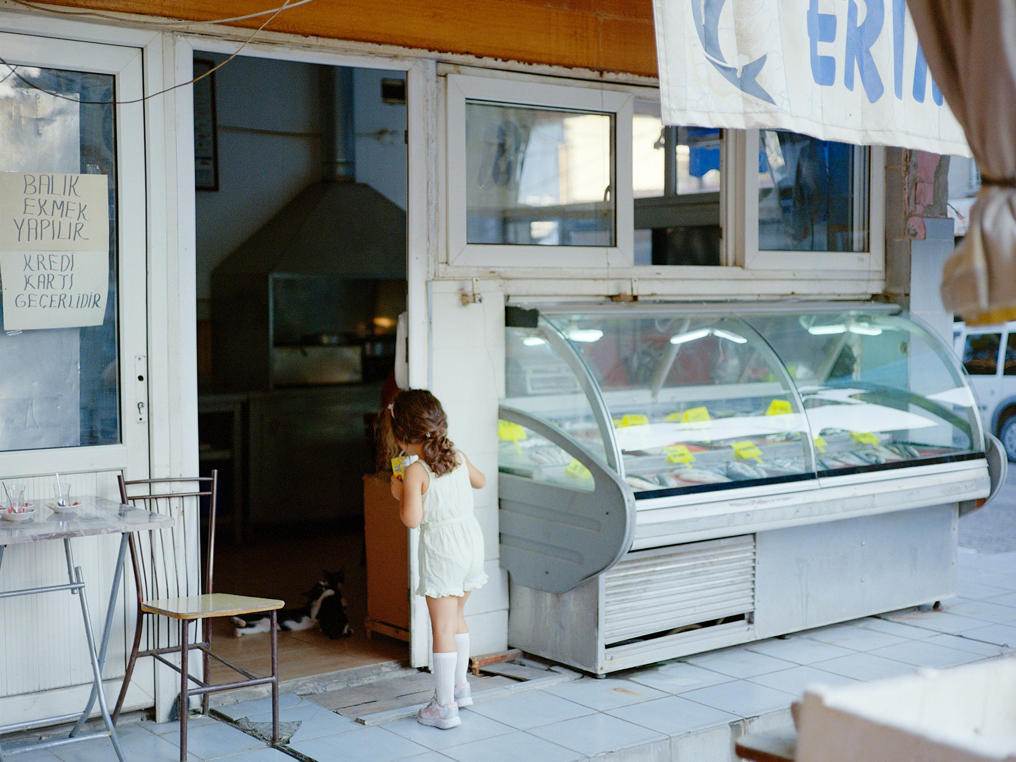 girl watching cats play fight in a fish shop