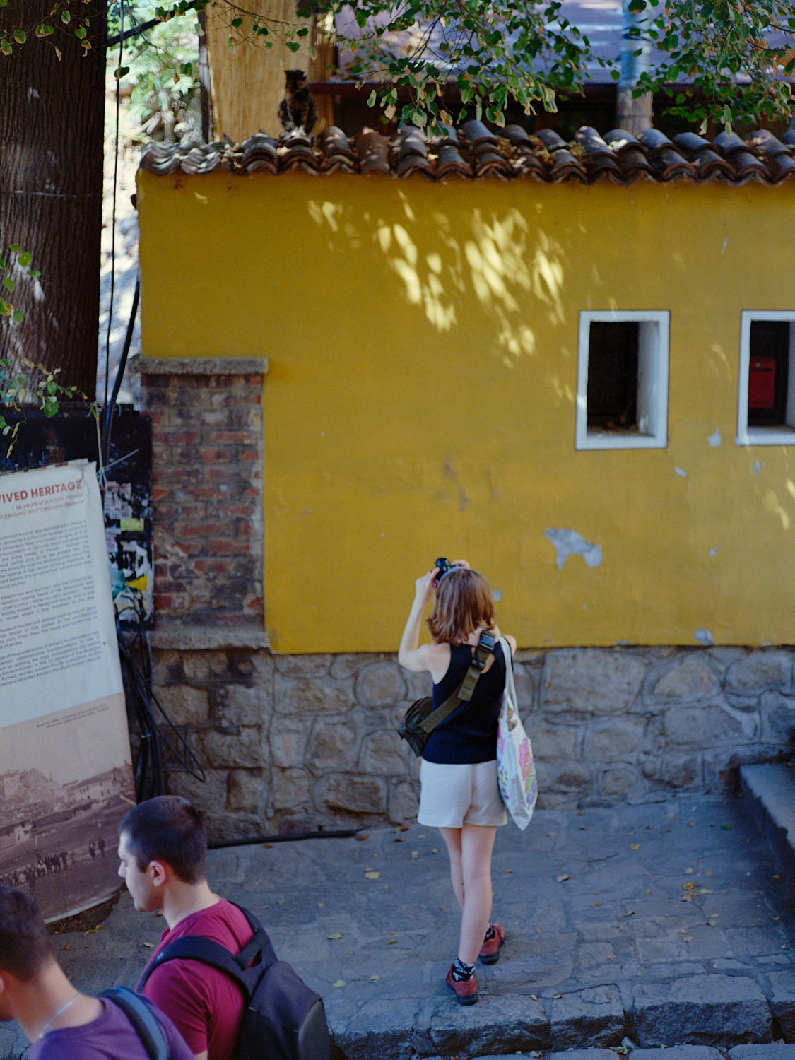 woman taking a photo of a cat on a roof. not taking cat pics is impossible.